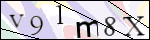 Human Confirmation Code (Captcha)