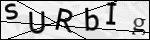 Human Confirmation Code (Captcha)