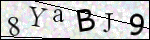 Human Confirmation Code (Captcha)
