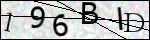 Human Confirmation Code (Captcha)