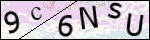 Human Confirmation Code (Captcha)