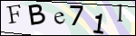 Human Confirmation Code (Captcha)