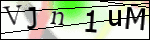 Human Confirmation Code (Captcha)