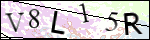 Human Confirmation Code (Captcha)