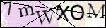 Human Confirmation Code (Captcha)