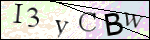 Human Confirmation Code (Captcha)