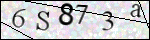 Human Confirmation Code (Captcha)