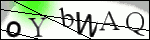 Human Confirmation Code (Captcha)