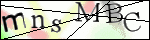 Human Confirmation Code (Captcha)