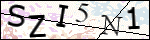 Human Confirmation Code (Captcha)