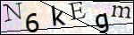 Human Confirmation Code (Captcha)