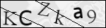 Human Confirmation Code (Captcha)