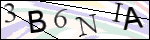 Human Confirmation Code (Captcha)