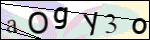 Human Confirmation Code (Captcha)