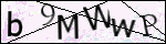 Human Confirmation Code (Captcha)