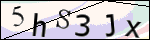 Human Confirmation Code (Captcha)