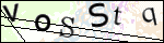 Human Confirmation Code (Captcha)