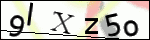 Human Confirmation Code (Captcha)