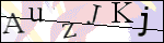 Human Confirmation Code (Captcha)