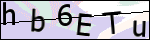 Human Confirmation Code (Captcha)