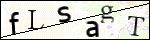 Human Confirmation Code (Captcha)