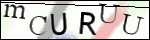 Human Confirmation Code (Captcha)