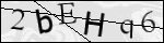 Human Confirmation Code (Captcha)