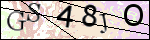 Human Confirmation Code (Captcha)