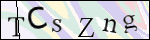 Human Confirmation Code (Captcha)