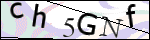 Human Confirmation Code (Captcha)
