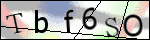 Human Confirmation Code (Captcha)