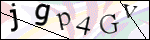 Human Confirmation Code (Captcha)