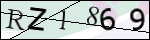 Human Confirmation Code (Captcha)