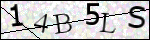 Human Confirmation Code (Captcha)