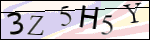 Human Confirmation Code (Captcha)