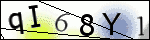 Human Confirmation Code (Captcha)