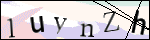 Human Confirmation Code (Captcha)