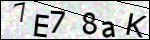 Human Confirmation Code (Captcha)
