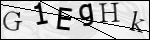 Human Confirmation Code (Captcha)