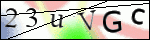 Human Confirmation Code (Captcha)