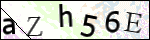 Human Confirmation Code (Captcha)
