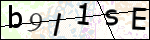 Human Confirmation Code (Captcha)