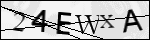 Human Confirmation Code (Captcha)