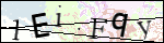 Human Confirmation Code (Captcha)