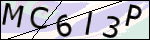 Human Confirmation Code (Captcha)