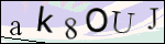 Human Confirmation Code (Captcha)