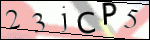 Human Confirmation Code (Captcha)