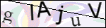 Human Confirmation Code (Captcha)