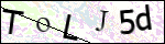 Human Confirmation Code (Captcha)