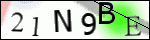 Human Confirmation Code (Captcha)